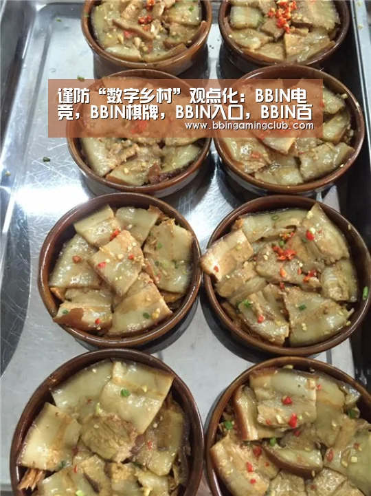 谨防“数字乡村”观点化:BBIN电竞,BBIN棋牌,BBIN入口,BBIN百家乐(图3) BBIN电竞,BBIN棋牌,BBIN入口,BBIN百家乐
